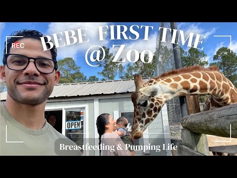 BABYS FIRST TIME AT THE ZOO at 6 MONTHS! PUMPING AND BREASTFEEDING TIPS!  #breastfeedingmomma #ftm