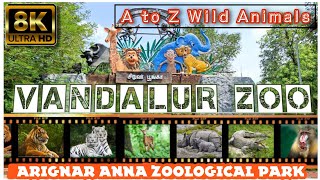 Vandalur Zoo Chennai || Get Ready for Adventure: Exploring VANDALUR Zoo