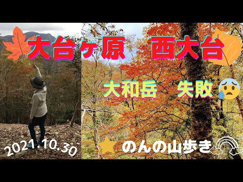 【登山】大台ヶ原　大和岳登頂失敗＋西大台に紅葉🍂🍁周遊コース♪