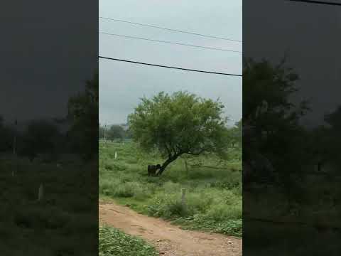 A beautiful view on Narnaul Mahendragarh Highway