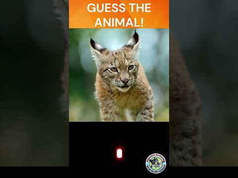 30 SECOND Guess The ANIMAL! #puzzle #quiz #animals