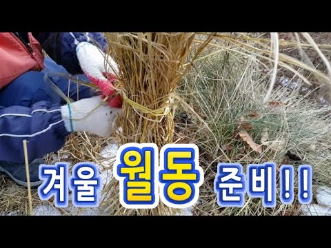 VLOG 브이로그 : 겨울 월동 준비