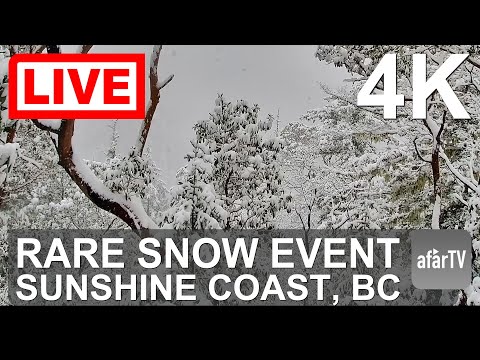 ❄️ Live Now:  Rare Snowfall on the Sunshine Coast, BC, Canada in 4K Ultra HD