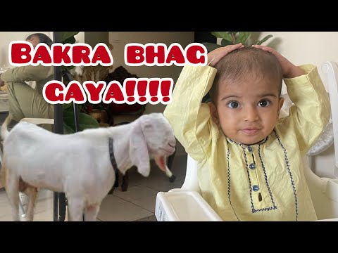 Hum sab DAR GAYE 😭😏 | EID MU- BAAA-RAK ❤️💕