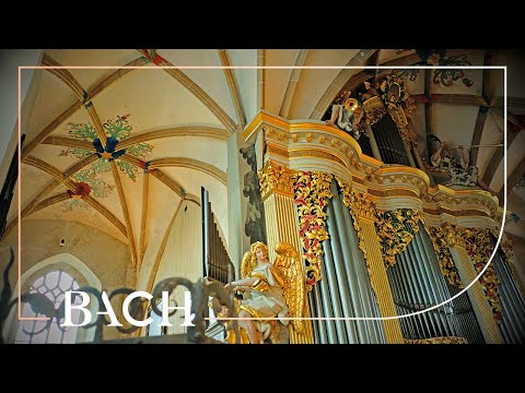 Bach - Kyrie, Gott heiliger Geist BWV 671 - Van Doeselaar | Netherlands Bach Society