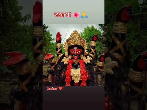 মা গো আনন্দময়ী 🌺🌺🙏🙏 #viral #god #devotional #kali #shorts @sarbani01