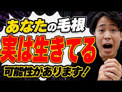 【重要】毛根死滅の判断方法を解説！死滅した毛根を復活させるには？