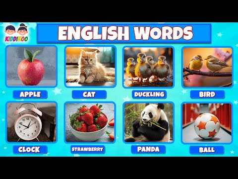 First 30 English Words For Kids - Learn English Vocabulary - Video Flashcards For Kids - KIDDIKOO