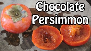 CHOCOLATE PERSIMMON: Looks Rotten But Tastes Delicious! - Weird Fruit Explorer Ep. 394