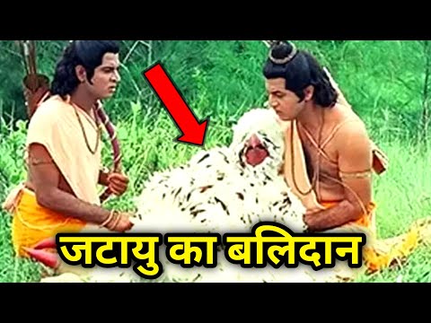 जटायु ने माता सीता को बचाने के लिए क्यों दिया बलिदान | रामायण कथा | Ramayan