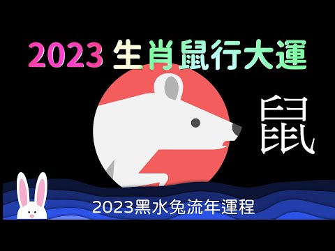 2023 生肖鼠行大運 人氣超旺 忙於交誼  十二生肖運程 屬鼠的運勢 頭腦開竅 創新創意 享受人生