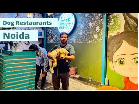 Noida Dog Restaurant | Bark Street Restaurant