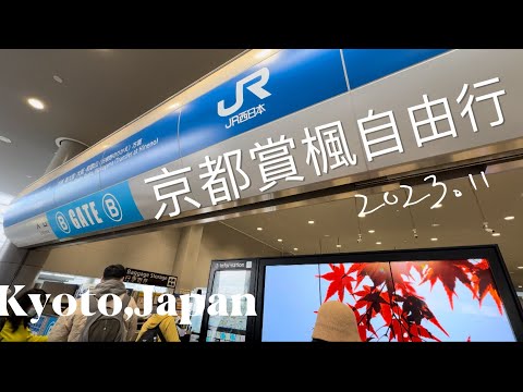 🇯🇵 日本賞楓去❗️第一站京都錦市場🍤大阪限定星冰樂🧋#日本自由行 2023 Kyoto japan Vlog