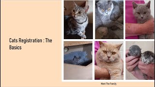 Cat Registration : The Basics