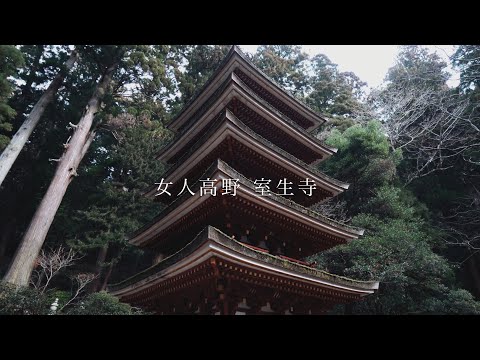 女人高野 国宝 室生寺