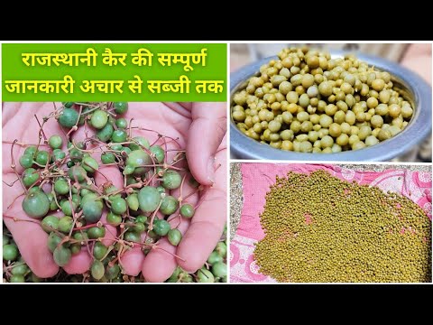 राजस्थानी खारे केर को मीठा करने का सरल तरीका | Kair ko meetha kaise karte hai | Kair ki sabji achaar