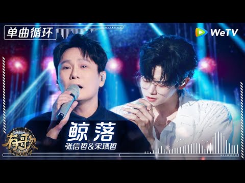 【1小时单曲循环】张信哲&宋瑀哲《鲸落》| #有歌2024 EP8 #hitsong2024 | WeTV综艺音乐