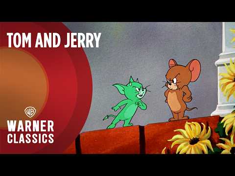 Tom and Jerry | Smitten Kitten (1952 Full Episode) | Warner Classics