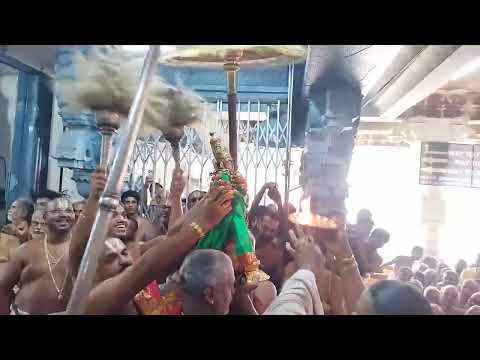 Kanchi Vaaradarajan - Vaikasi Brahmothsavam 2023 - Thotti Thirumanjanam_4m 43s