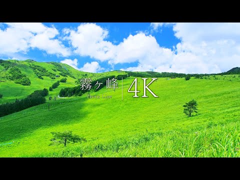 [Paradise in Heaven] Breathtaking view of Kirigamine and Venus Line - JAPAN in 4K