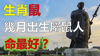 2023年12生肖运势，預測十二生肖，鼠年出生的人的命運 屬鼠人的命運，十二生肖來源於十二地支，生肖鼠在十二生肖中排名第一位，根據傳統命理為生肖鼠一生運勢指南，生肖屬鼠人要瞭解並改善自己的命運。