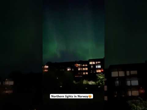 northern lights| | aurora borealis| #oslo #nordlys #auroraborealis #northernlights #live #oslo