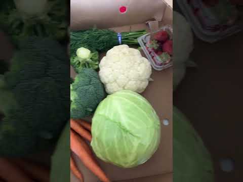 #freshproduce #farmersmarket #brocolli #carrot #dil #cabbage #strawberry