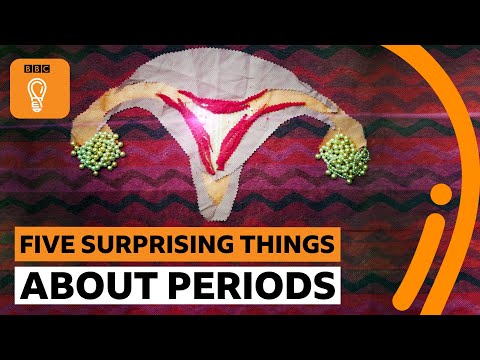 Five things you probably didn’t know about periods | BBC Ideas