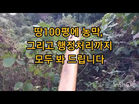 [계약완료]자연인농막과 땅100평이 3천만원대? 전기 물 정화조 당연히 설치한 가격이라니..나는 자연인이다 조금은 불편해도 촌으로 가자 촌스런방송