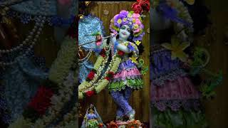 🌷🌷Na jane kya kiya jadu #sakhiribankebiharise #shortvideo #vrindavan❤ #jaishreeradheshyam 🌷🌷