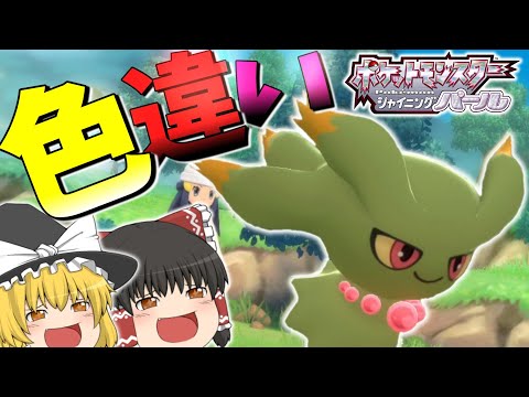 【ポケモンBDSP】ダイパリメイクで色違いムウマが欲しい……！！【ゆっくり実況】#ポケモンBDSP #色違い #ゆっくり実況 #ダイパリメイク