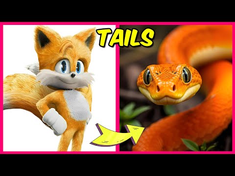 How SONIC THE HEDGEHOG 3 Characters look as SNAKES + Guess The Voice Quiz + Their Favorite Things!