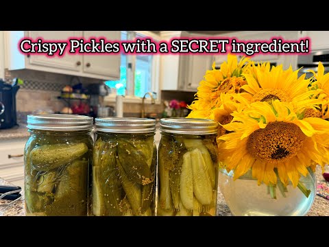 How to Make CRISPY Dill Pickles - Canning fresh from the Garden #cooking #homemade #garden