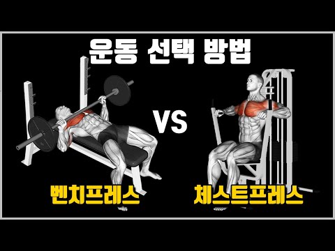 상황에 맞는 벤치프레스와 체스트프레스 운동 선택 방법 [최신 논문 기반]