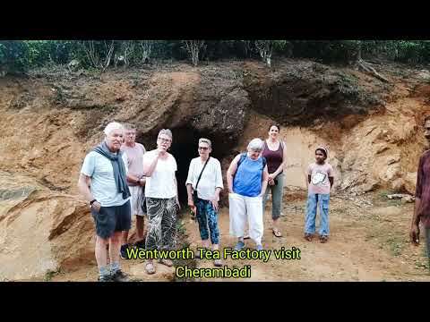 Places to visit in Wayanad Nilgiris I Wentworth Tea Factory Visit I Pazhassi's Cave I Cherambadi