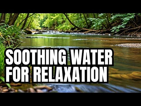 Soothing Water Sounds: Relaxing Nature Audio for Mind & Body