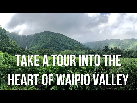 Waipio Valley Shuttle Tour on the Big Island of Hawaii