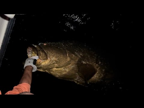 Goliath at the Jetties