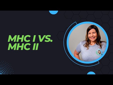 Immune system: MHC I vs. MHC II