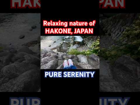 Relaxing nature of Japan #relaxingvideo #japan #shorts