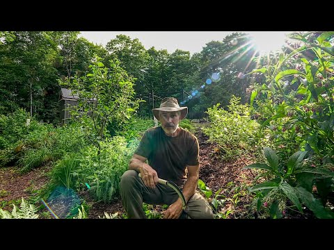 Survival Garden: Creating Abundance with Biodiversity in the Garden, Comfrey and Other Useful Plants