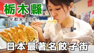 【栃木】日本最著名“餃子”街，他們居然還給“餃子”立了雕像！栃木縣 | 日光&宇都宮 | 日光東照宮 | 餃子 | 華厳の滝