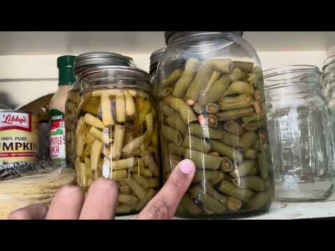 A Kitchen Tour and Food Preserving Advice for Beginners | Backyard Homestead