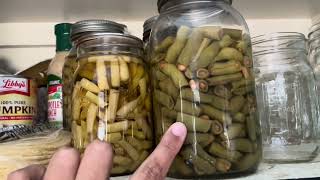 A Kitchen Tour and Food Preserving Advice for Beginners | Backyard Homestead