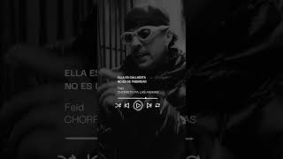 Feid - CHORRITO PA LAS ANIMAS #music #musica #reggaeton #lyrics #chorritopalasanimas #feid