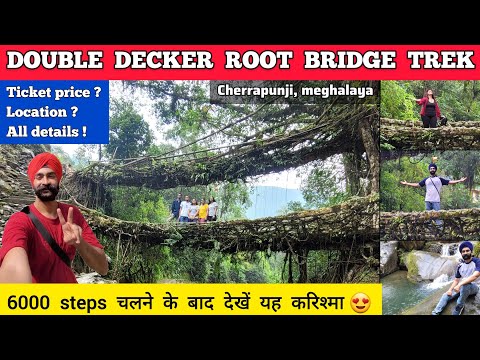 Double decker living root bridge cherrapunji full information Double decker bridge in meghalaya trek