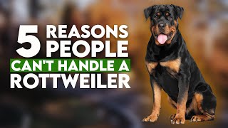 5 Reasons Most People Can't Handle A Rottweiler Dog