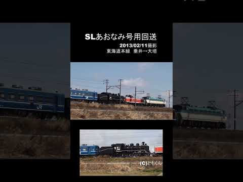 SLあおなみ号用回送　2013/02/11撮影　東海道本線　垂井→大垣