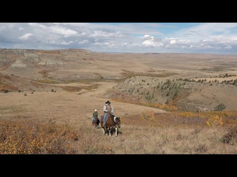 TV Worth Watching!  A full episode of Today's Wild West!