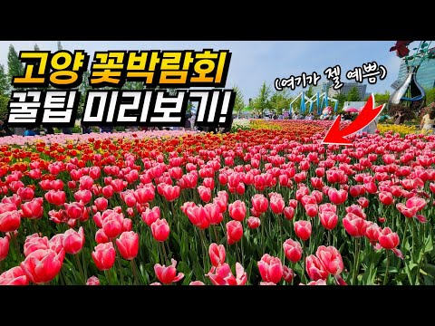 5월 여행지 고양 국제 꽃박람회 일산 호수공원 | 대중교통 당일치기 여행 | Goyang International Flower Festival, Korea